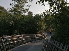 -福道