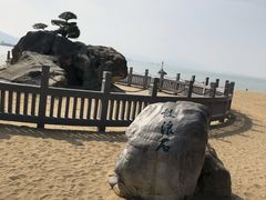 -贝壳梦幻世界