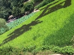 -韶山毛泽东同志故居