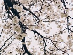 -国际非物质文化遗产博览园