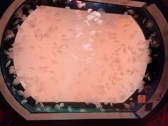 -沈阳海洋探索中心