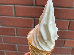 甜筒-蜜雪冰城(浙江大学店)
