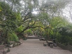 -吴山景区