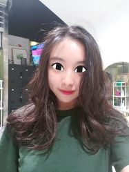 -大象造型
