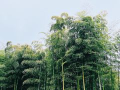 -众神白水涧景区