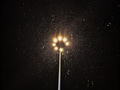 -盛兴面馆(真儒大厦店)