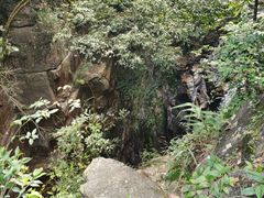 -鼎湖山风景区