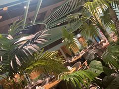 -春润大地海南椰子鸡(沙井京基百纳广场店)
