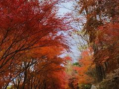 -崂山九水游览区