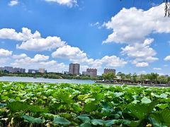 -济南大明湖景区
