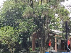 -海珠湖公园