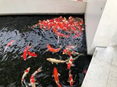 -三溪村