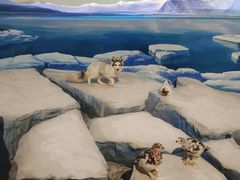 -陕西自然博物馆