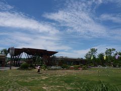 -上海长兴岛郊野公园