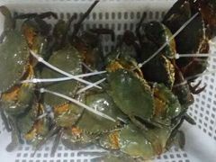 -福建美食城(老君堂店)