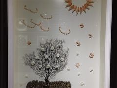 -青岛贝壳博物馆