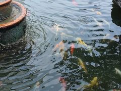 -镇江中国醋文化博物馆