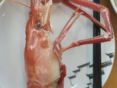 -品鲜村农家菜·阳澄湖大闸蟹(总店)