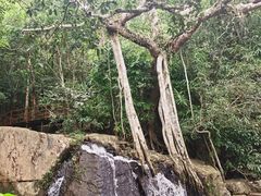 -呀诺达热带雨林