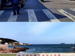 -枸杞岛