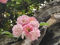 -绮园景区