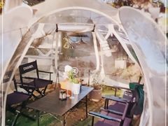 -安德鲁户外烧烤帐篷营地(马泉营店)