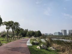 -春花秋色城市公园