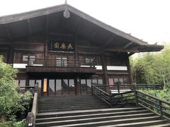 -大唐贡茶院