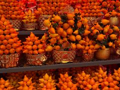 -越秀西湖花市(广州城市广场花卉店)