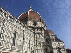 -圣母百花大教堂穹顶