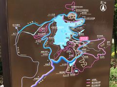 -深圳仙湖植物园-停车场