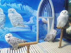 -成都浩海立方海洋公园