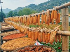 -新安江山水画廊风景区