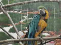 -西安秦岭野生动物园