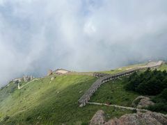 -白草畔自然风景区