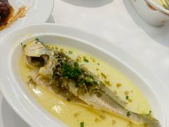 -圆苑(静安寺店)