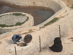 -青藏高原野生动物园