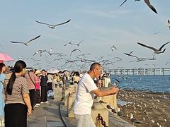 -星海广场