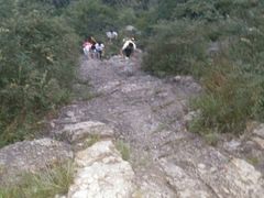 -紫金山天文台