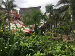 -亚马逊丛林水乐园