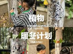-洪恩幼儿园
