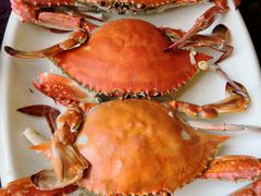 -山东八大碗山东老字号