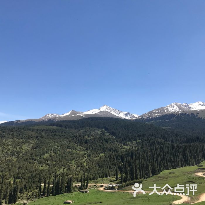 琼库什台紫花坡图片-北京更多生活服务-大众点评网