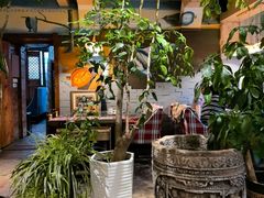 -慢丽江·云南野生菌土鸡锅(付家庄店)