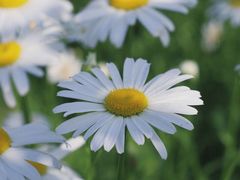 -四里河滨水生态公园