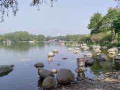 -石家庄市植物园