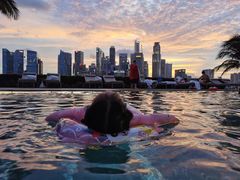 -新加坡文华东方酒店