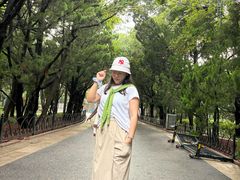 -八大关景区