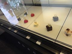 -BLACKSWAN黑天鹅(环球店)