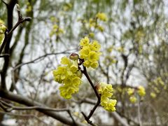 -白塘生态植物园